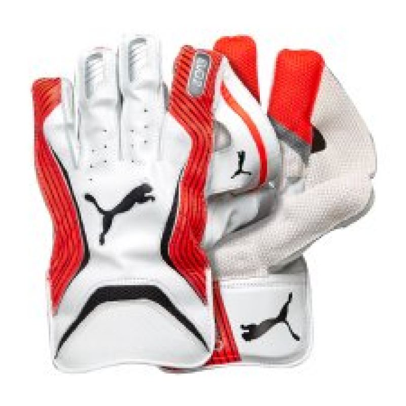 puma evopower 2 gloves